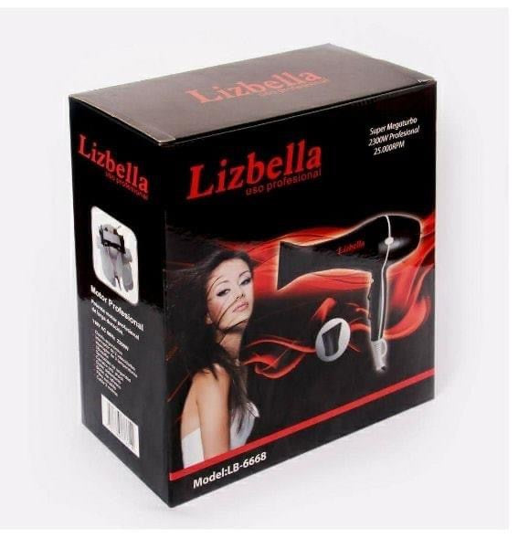 SECADOR DE PELO (PROFESIONAL)